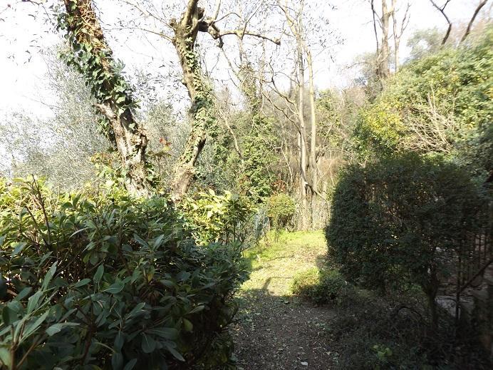 Villetta Rossone Torri Del Benaco Exteriér fotografie