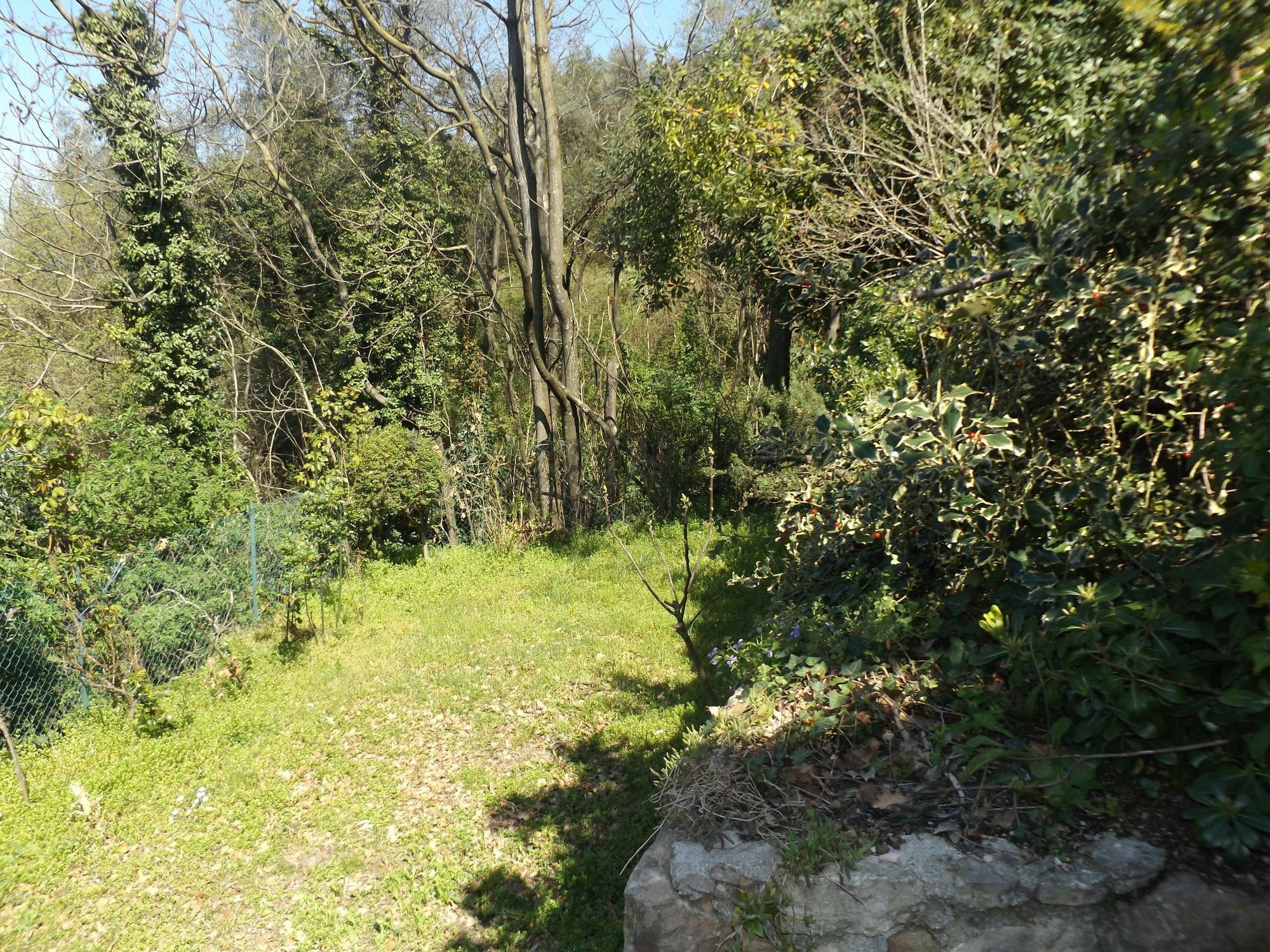 Villetta Rossone Torri Del Benaco Exteriér fotografie